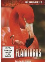 Flamingos - Das Leben der Flamingos -