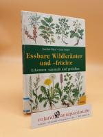 Essbare Wildkräuter und -früchte erkennen, sammeln und genießen