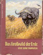 Das Großwild der Erde und seine Trophäen