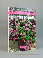 La beauté des plantes en pots.