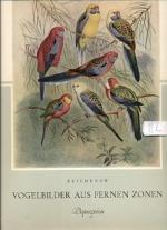 Vogelbilder aus Fernen Zonen - Papageien