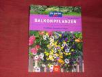 Eva-Maria Geiger: Balkonpflanzen. Auswäh