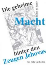 Robin de Ruiter: Die geheime Macht hinte
