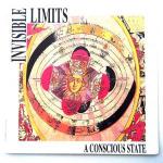 A Conscious State