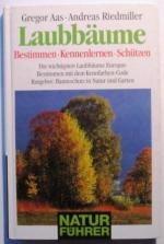 Gregor Aas, Andreas Riedmiller und Andre Gregor Aas, Andreas Riedmiller und Andre