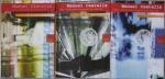 Manuel Castells: Das Informationszeitalt