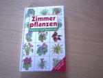 Violet Stevenson: Zimmerpflanzen Erkenne