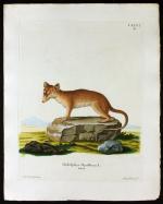 I. E. Ihle, Johann Christian Daniel Schr