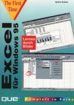 Excel für Windows 95