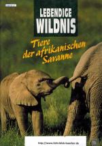 Lebendige Wildnis - Tiere der afrikanischen Savanne