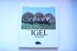 Der Igel - liebenswertes Stacheltier