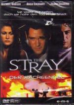 Kevin Mock: The Stray - Der Racheengel