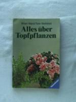 Brain Ward / Tom Wellsted: Alles über To Brain Ward / Tom Wellsted: Alles über To