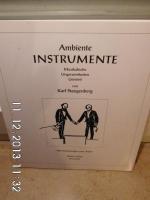 Ambiente Instrumente