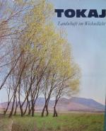Tokaj - Landschaft im Wechsellicht