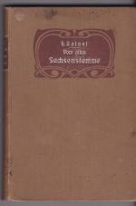 Vom alten Sachsenstamme. Novellen von L. Rafael (H. Kisekamp)