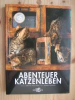 Abenteuer Katzenleben