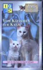 Katzen von Welt: Vom Kätzchen zur Katze