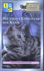 Die vielen Gesichter der Katze