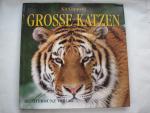 Kit Coppard: Grosse Katzen Kit Coppard: Grosse Katzen