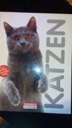 Gloria Stephens: Katzen