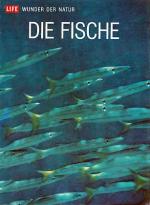 Ommanney, F. D.: Die Fische: Life - Wund