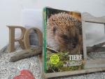 Monika Neumeier: Igel in unserem Garten