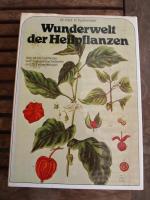 Wunderwelt der Heilpflanzen - Mehr als 100 Heilpflanzen, über 75 ganzseitige Farbtafeln und 150 Farbabbildungen