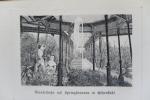 Das Schwefelbad Höhenstadt. Erste Ausgabe. Wien, Verlag von J. Schlieper, 1872. * Mit 2 Tafeln. * X S., 1 Bl., 116 S. Original Broschur mit neuem Leinenrücken.