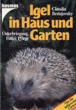 Igel in Haus und Garten