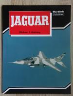 Gething: Jaguar