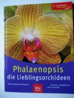 Phalaenopsis die Lieblingsorchideen - die schönsten Sorten - richtig auswählen und pflegen