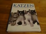 Katzen