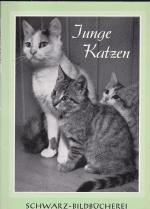Elisabetz Eytzinger: Junge Katzen. 42 Bi