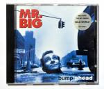 Mr.Big: Bump Ahead