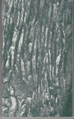 Irene Schleicher: Baum (Freund Baum?)