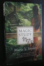 Magic Study. Fantasyroman