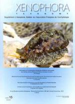 Xenophora Taxonomy 15