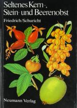 Friedrich, Gerhard und Werner Schuricht: Friedrich, Gerhard und Werner Schuricht: