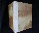 Carr, J. Comyns: Examples of contemporar