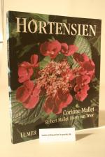 Hortensien