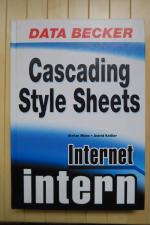 Cascading Style Sheets Internet intern