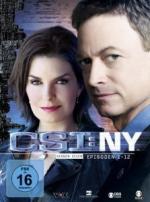 CSI: NY (New York) - Staffel 7 Teil 1 (3