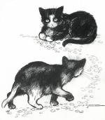 Zwei junge Katzen.