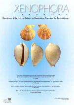 Xenophora Taxonomy 18