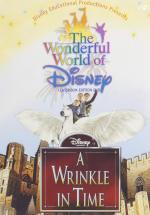 A Wrinkle In Time