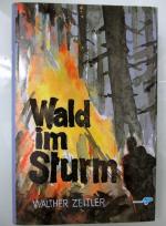Wald im Sturm