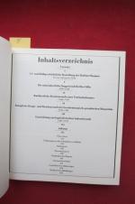 Roland Bauer: Berlin - Illustrierte Chro