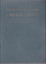 Amerikaflug (1928) Im Flugzeug zweimal über den Ozean und über beide Amerika