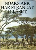 Noaks ark har strandat i gräset